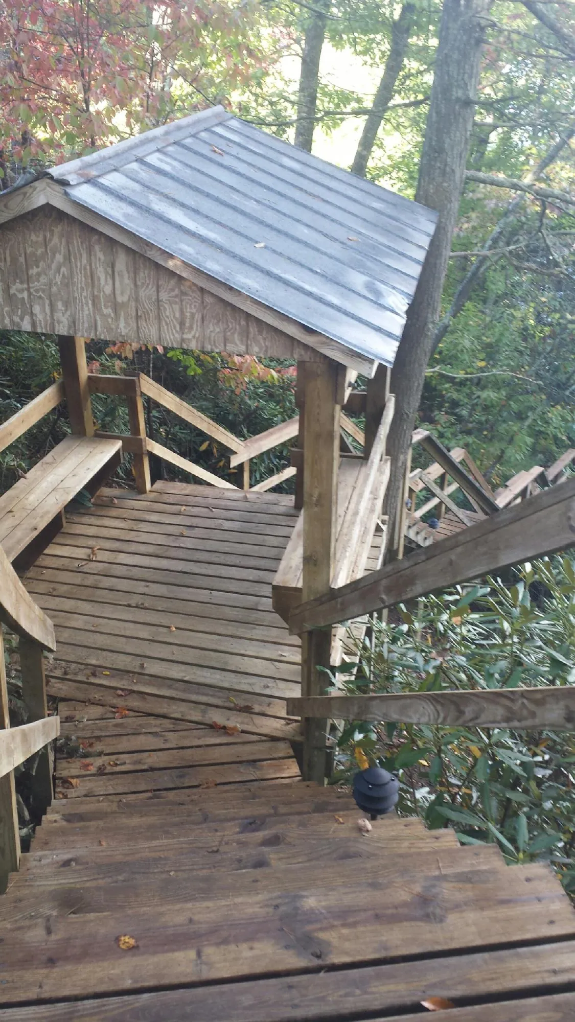 Metal roofed shelter over wooden steps on a wooded walkway — Skylight Repair & Installation work by our crew in Novato